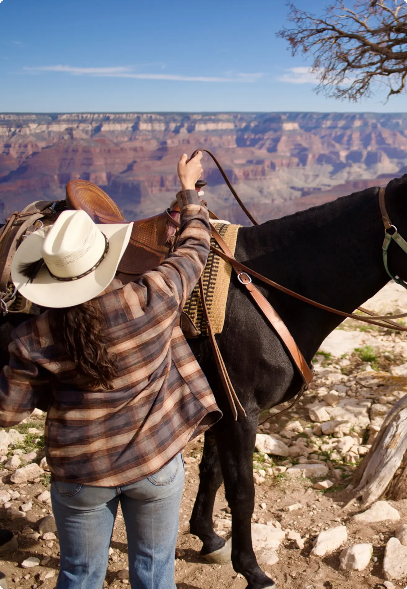 Uncompetitive Existing Supply