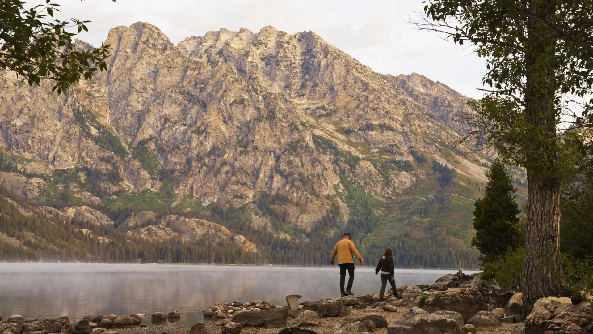 Fallback video image